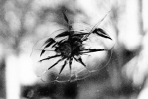 Комбинированный скол